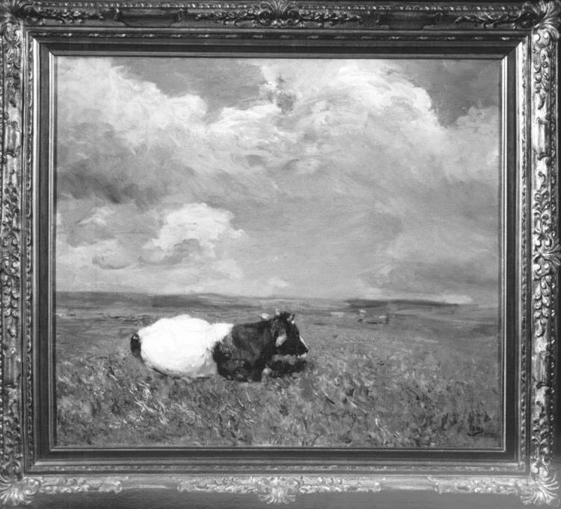 Mucca - monte di Pietà, Venezia